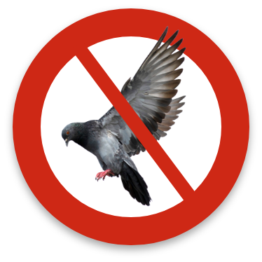 鳥害対策アイテムの専門店イメージ