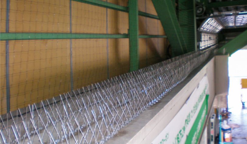 鳩対策プロのこだわりイメージ