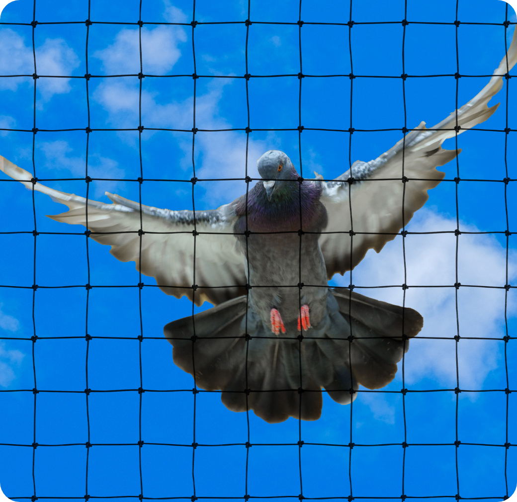 防鳥対策ガイドサムネイル